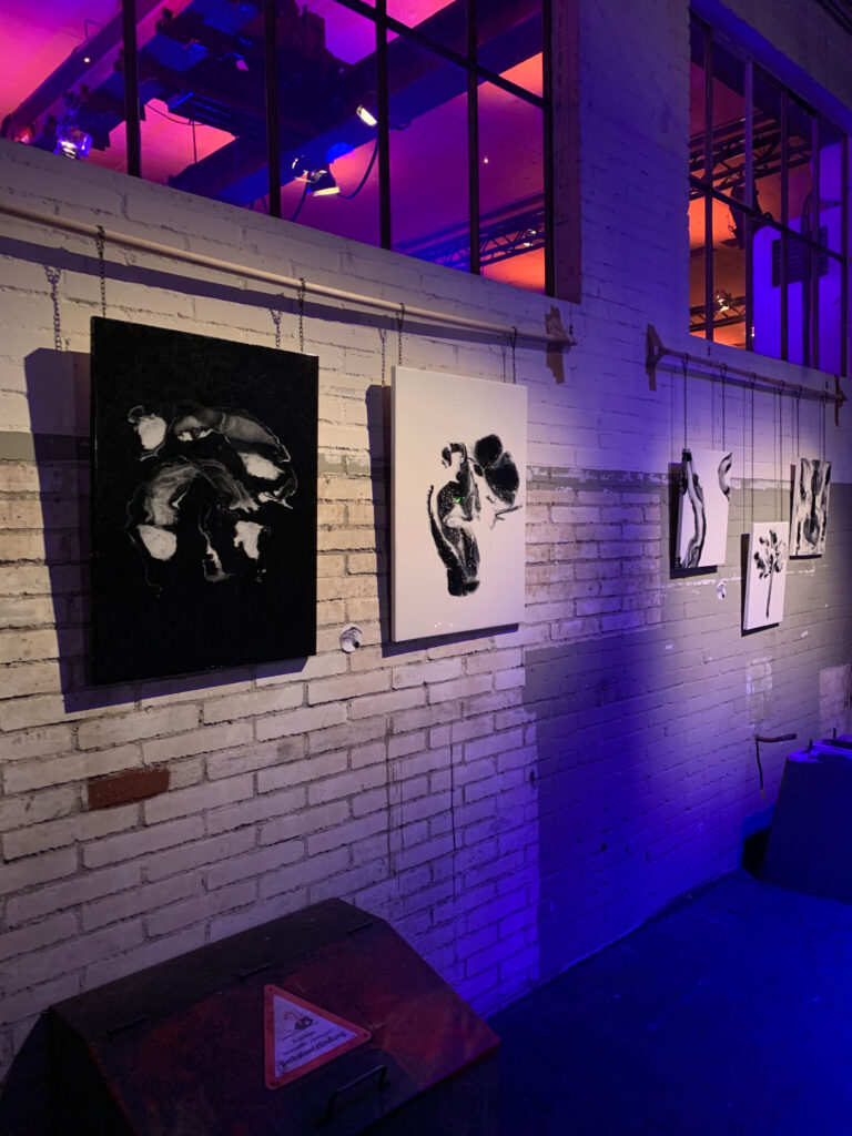 exhibition with black and white artwork