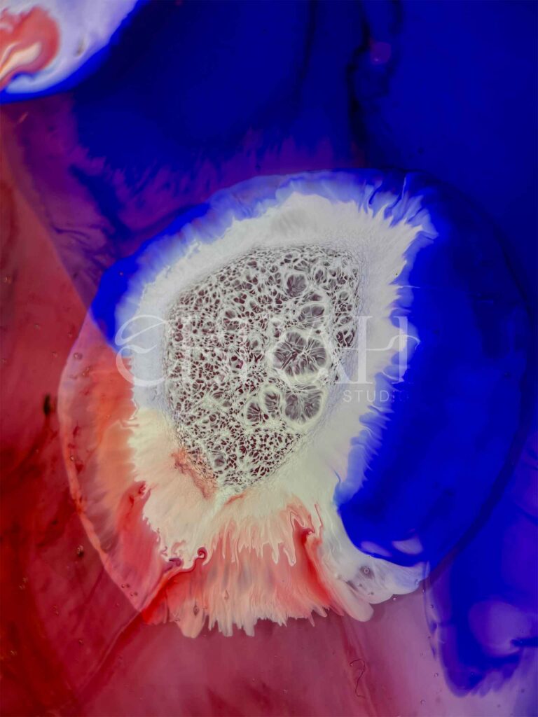 macro shot of alcohol ink pink red blue